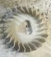 CAT RP5500 Flywheel Cooling Fan Bin L