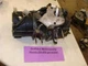  HONDA EX800 generator engine motor cylinder crankcase winding head running 