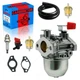 Carburetor Carb Kit For Craftsman 4200 Watt Generator 580.327140 w/ Spark Plug