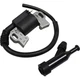 Ignition Coil Kit Spark Plug Cap Honda EB3500X EB3800X EM3500X EM5000X W02