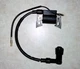 Ignition Coil Honda G100 G100K2 EG650 EM500 EM500K1 EM600 EG650 (30500-ZG0-W01)