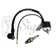 Ignition Coil & Spark Plug For Champion CPE 1200 1500 1400 1800 Watts Generator