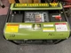 Sportsman LPG Series 4000Surge Watt Propane Generator GE4000LP USED