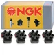 4 pc NGK 48805 U2005 Ignition Coils for ZZM0-18-100B ZZM0-18-100A vz
