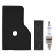 17211-Z07-000 Air Filter with 17218-Z07-000 Outer Filter Kit Replace for Honda 