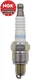 Genuine NGK CR5HSB Spark Plug  For Honda EU1000i EU2000 EU2000I  Generator  9805