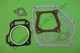 Champion CPE 200953 224CC 3500 4250 Watt Inverter Generator Repair Gasket Set